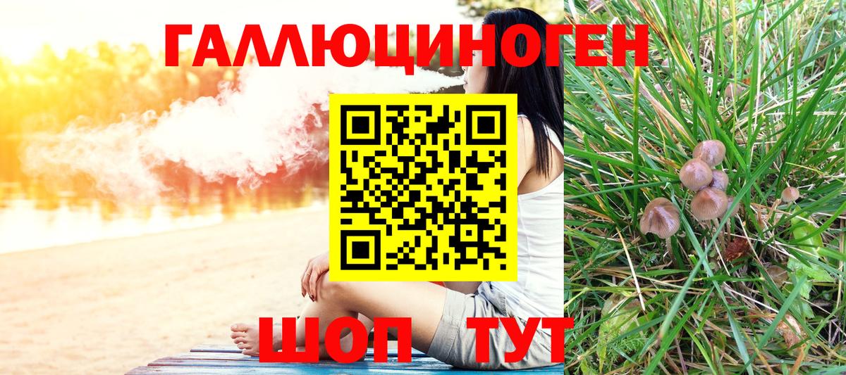 Шадринск  Псилоцибиновые грибы Magic Shrooms  Вход с VPN 
